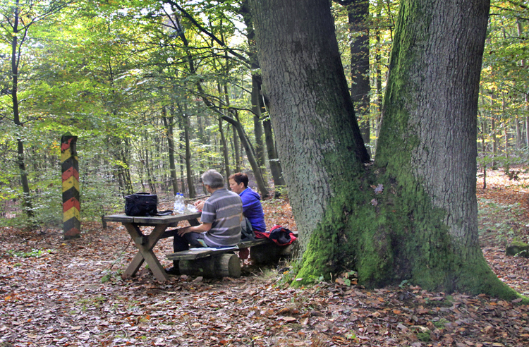 Innerdeutsche Grenze DDR Harz Eiche